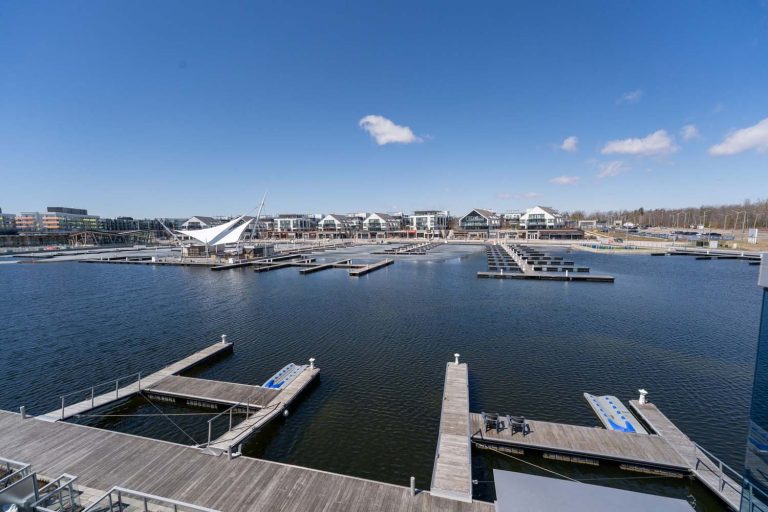 53-web-or-mls-3793-mangusta-ct