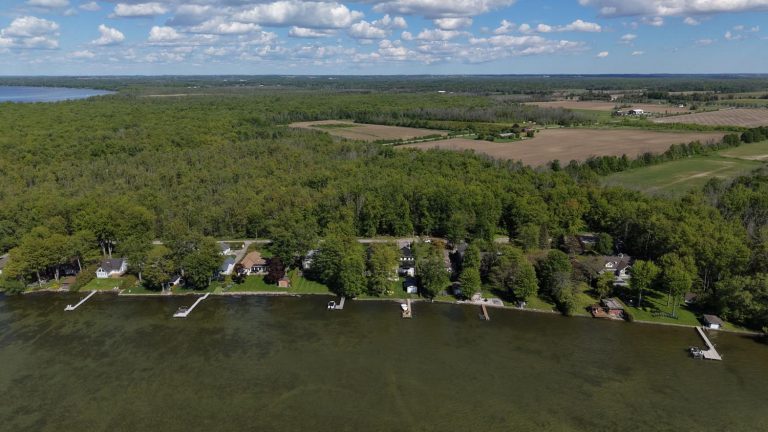 6-web-or-mls-98-mcrae-beach-s